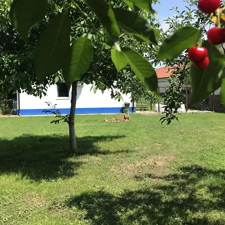 Majorka Apartment